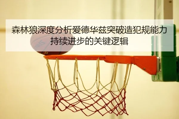 森林狼深度分析爱德华兹突破造犯规能力持续进步的关键逻辑