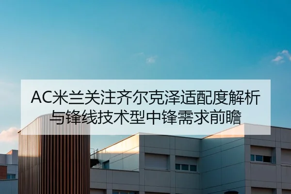 AC米兰关注齐尔克泽适配度解析与锋线技术型中锋需求前瞻 - kaiyun